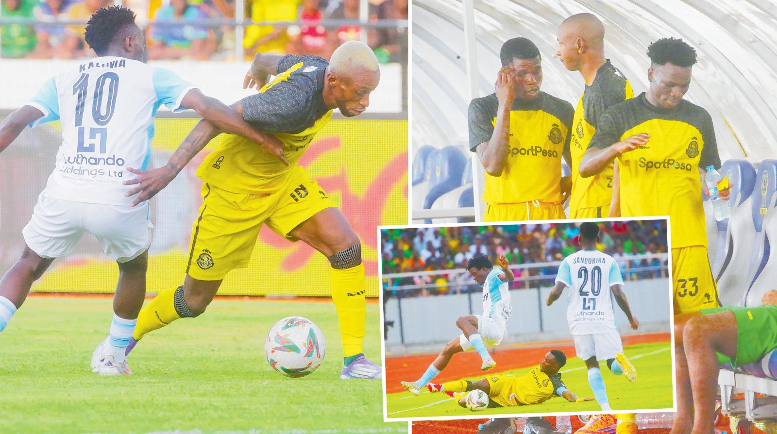 YANGA Pict