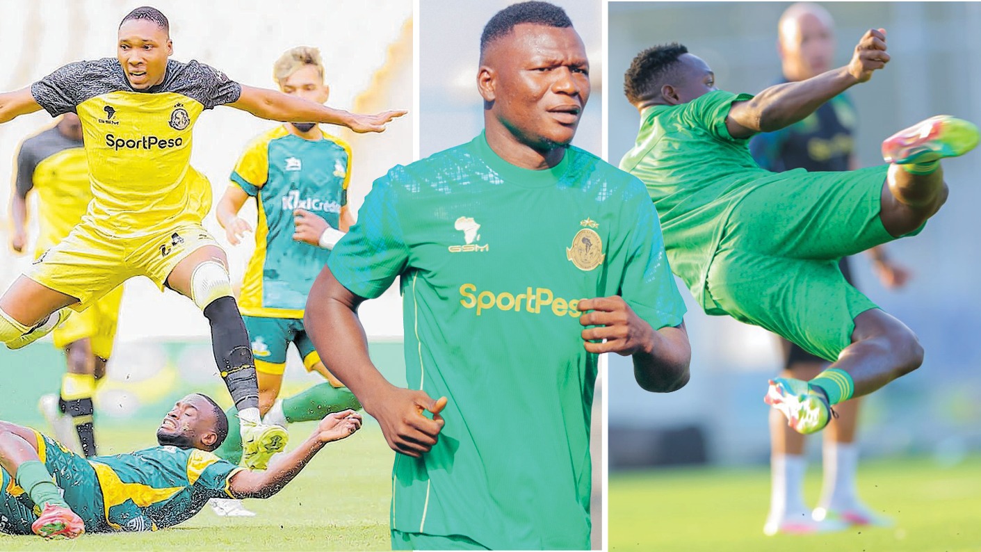 YANGA Pict