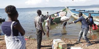 Mageta Island