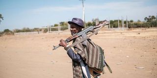 A member of the Amhara militia