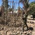 Attacks in Mozambique's Naunde