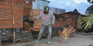 Dog breeder