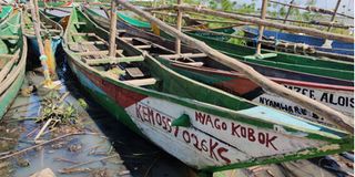 Fishing boat