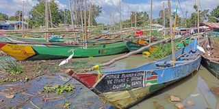 Fishing boat