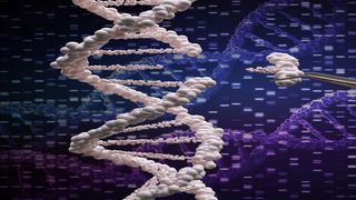 dna testing