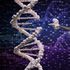 dna testing