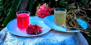 dragon fruit