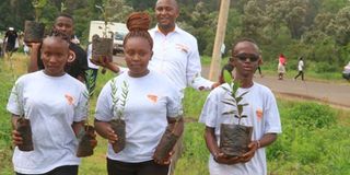 Equity Bank’s Wings to Fly