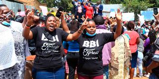 BBI supporters