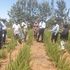 Markup Kenya technical team