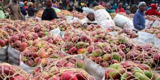 Mangoes