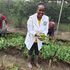 Vegetable farmer
