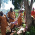 Mugumo tree