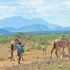 Isiolo attacks