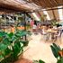 Greenhouse Restaurant