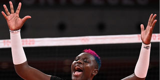 Malkia Strikers