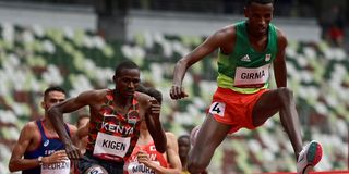 Lamecha Girma