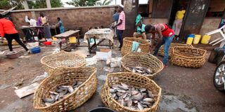 Chinese fish