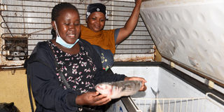 Fish dealers