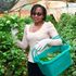 Managu farm