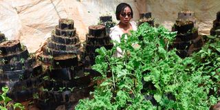 Mutile Wambua