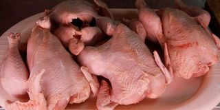 Chicken.