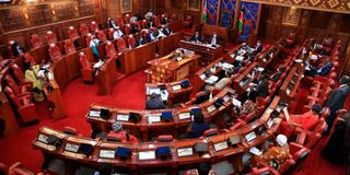 Senate and National Assembly