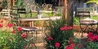 Tin Roof Café