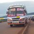 Swift bus 