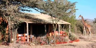 Cottage tent 