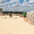 Drying maize