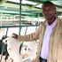 Dairy farm