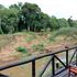 Mara River