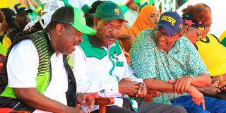 Kenya Kwanza coalition Kirinyaga
