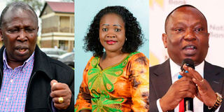 Maina Kamanda