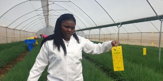 Agronomist Ruth Munyoro
