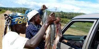 Fish Hawkers