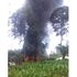 Homa Bay femicide