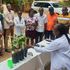 Mango farming training