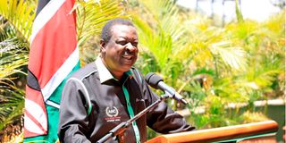 ANC party leader Musaliia Mudavadi