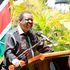 ANC party leader Musaliia Mudavadi