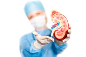 kidney transplant, organ donation, organ transplant