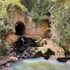 The ‘Dark Tunnel’ in the Kijabe Hills