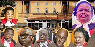 Smokin wanjala, Isaac Lenaola, William Ouko, Mohamed Ibrahim and Njoki Ndung'u