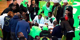 election observers