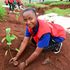 planting trees 