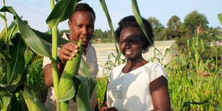 Hosea Kiplagat