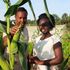 Hosea Kiplagat 