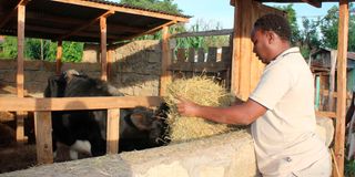 Hosea Kiplagat