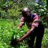 Josephat Barasa